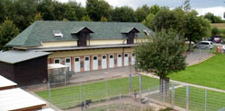 Tierheim Montabaur Tierheim Montabaur
