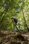 Wanderer im Wald von Montabaur Wanderer im Wald von Montabaur
