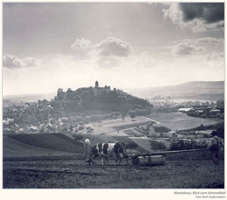 Montabaur, Blick vom Himmelfeld (April)