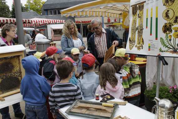 „Der Honig entsteht hier in den Waben.“ Das zeigte Imker Bernhard Schwenzfeier den Kindern vom Kindergarten „Löwenzahn“, die mit ihrer Leiterin Judith Böcker (Mitte) und Sandra Weyand zum Wochenmarkt in Montabaur gekommen waren.