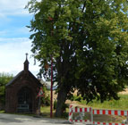 Zweite Linde an der Kapelle Allmannshausen muss gefällt werden.