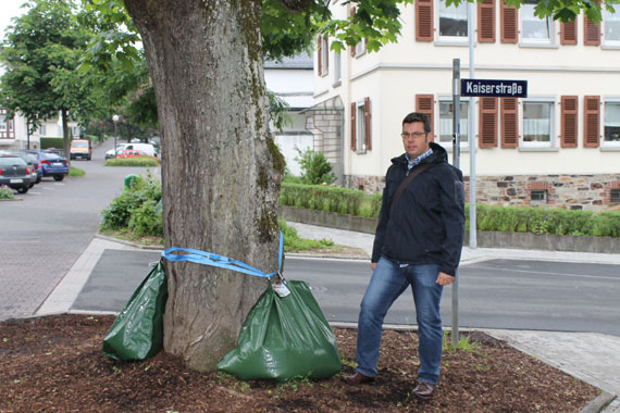      Die Bäume an der Kreuzung Kaiserstraße / Herzog-Adolf-Straße werden mit den neuen Bewässerungssäcken versorgt. Markus Kuch (Bild) hat sie ausgewählt, da die Bäume besonderer Pflege bedürfen. 