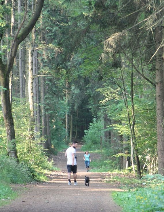 Spazieren gehen, walken, joggen, wandern und nebenan schwimmen oder Tennis spielen: Die „Sport-Meile“ im Stadtwald ist sehr beliebt und wird bald mit dem neuen Fitness-Parcours weiter aufgewertet.