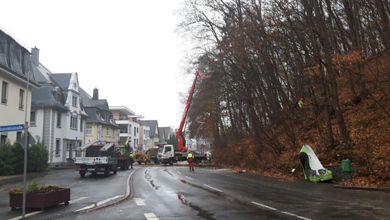 Wegen Baumpflegearbeiten werden die Straßen rund um den Schlossberg abschnitts- und tagesweise gesperrt. Das Bild aus dem letzten Jahr zeigt, wie aufwendig diese Arbeiten sind.