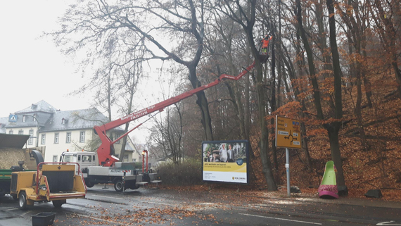 Am 27. Februar 2021 werden die jährlichen Baumpflegearbeiten am Schlossberg in Montabaur durchgeführt. Der mittlere Teil der Bahnhofstraße wird deshalb gesperrt (Archivbild VG Montabaur)