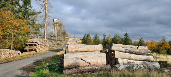 Waldbegang des Haupt- Finanz- und Umweltausschuss des Stadtrates