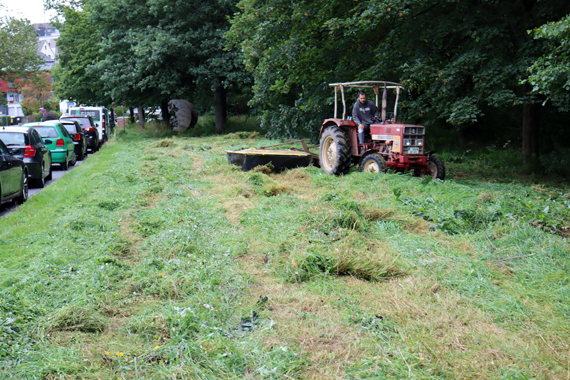 Landwirt Jesco Engel war diese Woche mit seinem Traktor erstmals im Einsatz, um die Wiese entlang der Montabaurer Fröschpfortstraße zu mähen. Auf der innerstädtischen Grünfläche soll künftig eine naturnahe Blumenwiese entstehen.