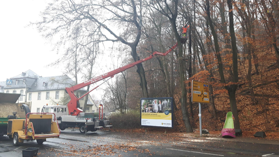 Einmal im Jahr lässt die Stadt Montabaur Baumpflegearbeiten am Schlossberg durchführen. Die Bahnhofstraße ist deshalb am 20 November ab 7.00 Uhr bis zum Nachmittag gesperrt. (Archivbild Stadt Montabaur)