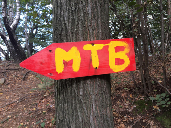 Soll auf der Montabaurer Höhe ein Mountainbike-Trail entstehen? MTB steht nicht etwa für Montabaur sondern zeichnet im Wald eigene Wegstrecken für Mountainbiker aus.