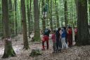 Waldferien (10).jpg