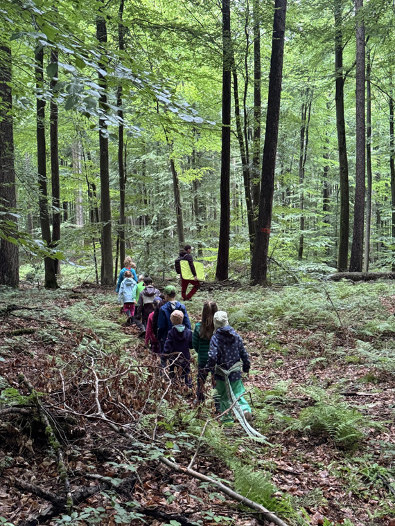 Das Bild zeigt eine Gruppe von Kindern beim Gang durch den Wald