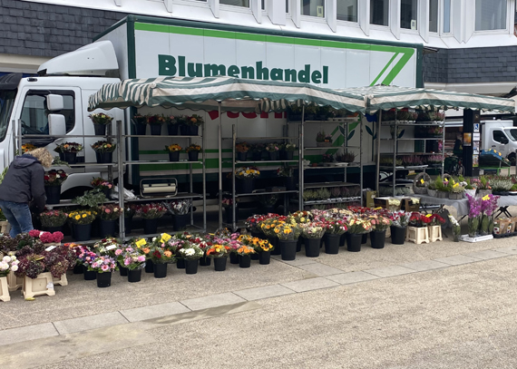Frische Blumen und Pflanzen