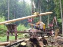 03_Holzfällarbeiten.jpg
