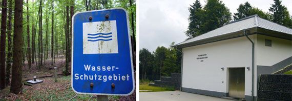 Der Stadtwald ist Wasserlieferant und Klimaschützer
