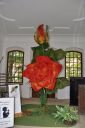 RHM_DSC0060.jpg