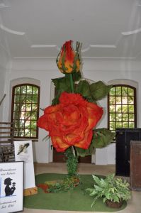 RHM_DSC0060.jpg