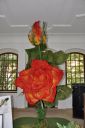 RHM_DSC0061.jpg