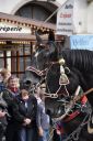 RHM_DSC0187.jpg