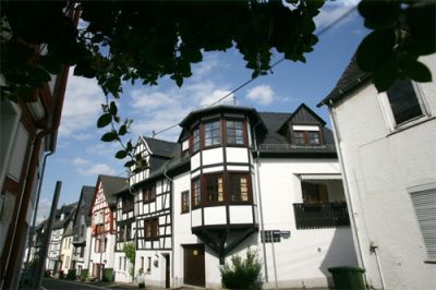 rebstock09.jpg
